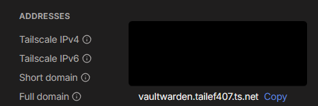 Tailscale Dashboard Showing Full Domain